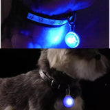 LED Glow Pet Collar Pendant — Bright Night Safety Light