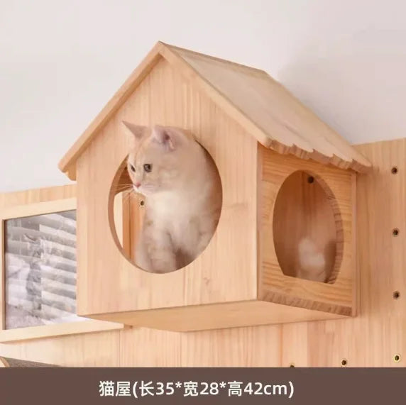 Wall-Mounted Cat Climbing Shelf & Hammock