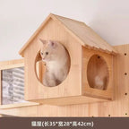 Wall-Mounted Cat Climbing Shelf & Hammock