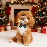 Exquisite Christmas Bowtie 30-Pack for Small Dogs & Cats