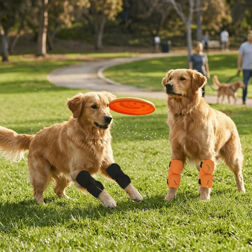 Soft Pet Knee Brace 2-Pack (Thermal, Adjustable, Joint Recovery, Breathable)