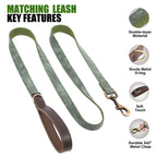 Personalized Dog Collar & Leash Set