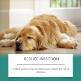 Pet Skin Repair Spray — Hypoallergenic Relief for Redness & Itching