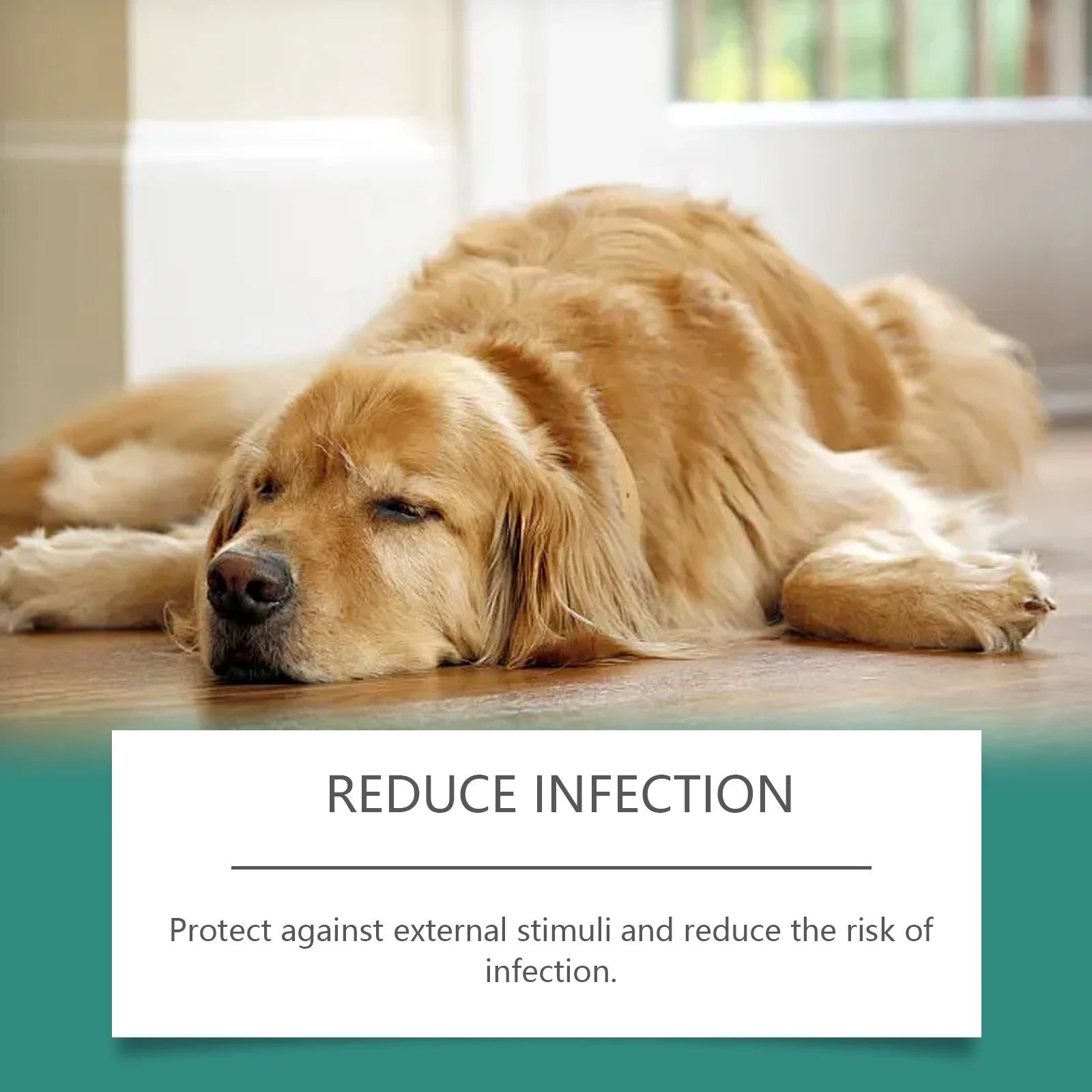 Pet Skin Repair Spray — Hypoallergenic Relief for Redness & Itching