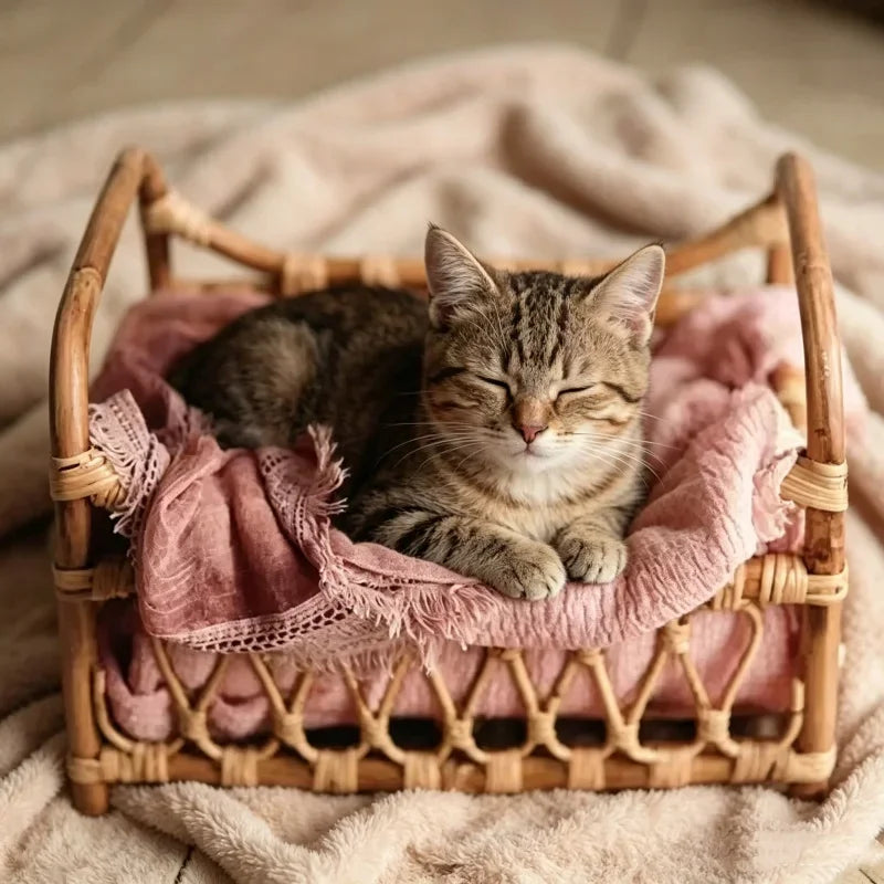 Breathable Rattan Cat Bed Basket for Photo Decor