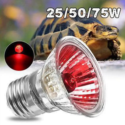 UVA/UVB Reptile Basking Bulb — Heat Lamp for Turtles & Lizards, 25W–75W