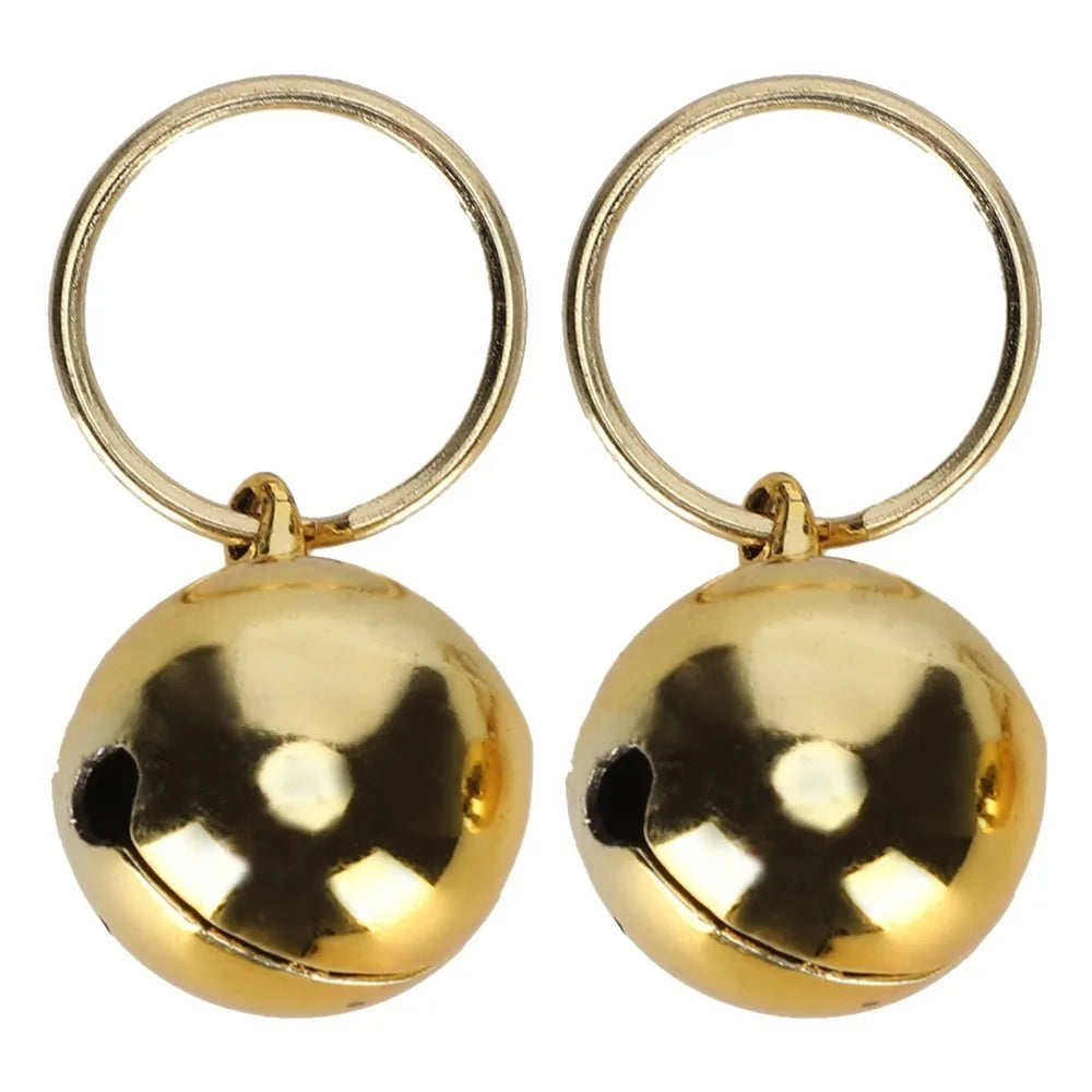 Gold & Silver Pet Collar Charms 2-Pack (Polished, Long-Lasting, Cat & Dog)