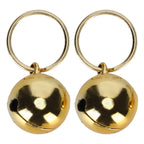 Gold & Silver Pet Collar Charms 2-Pack (Polished, Long-Lasting, Cat & Dog)