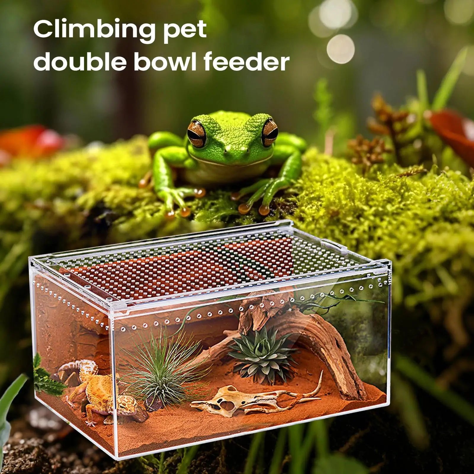 Transparent Acrylic Terrarium — Ventilated Enclosure for Spiders, Geckos & More
