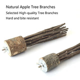 Natural Apple Wood Perch — Chew-Safe Branch Stand for Birds & Small Pets