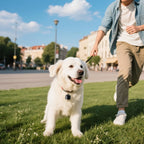 Waterproof Real-Time GPS Tracker for Dogs, Cats & Pet Birds - Global Positioning