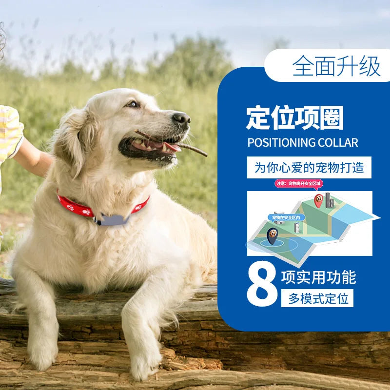 6-Satellite Smart GPS Collar for Cats & Dogs with Anti-Lost Tracking