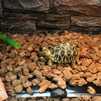 Thin Flexible Reptile Heat Mat — Even Substrate Warmth, 5W-20W