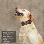 Genuine Leather Spiked Dog Collar