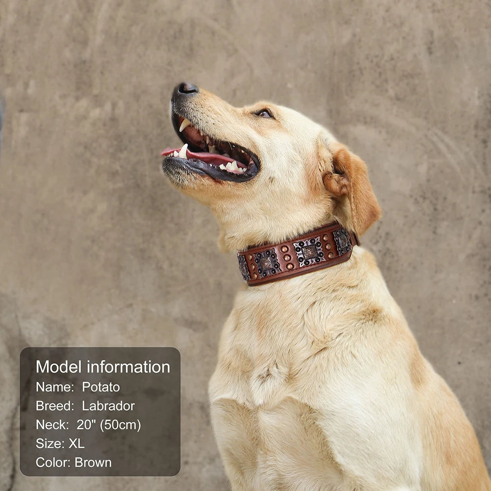 Genuine Leather Spiked Dog Collar
