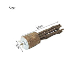 Natural Apple Wood Perch — Chew-Safe Branch Stand for Birds & Small Pets