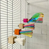 Rainbow Wooden Chew Stick — Perch Toy for Parrots
