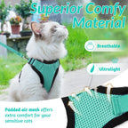 Anti-Escape Kitten Harness & Leash Set — Lightweight Breathable Vest