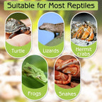 Turtle Bathing Pool & Feeding Dish — Easy-Clean Water Bowl for Box Turtles & Frogs