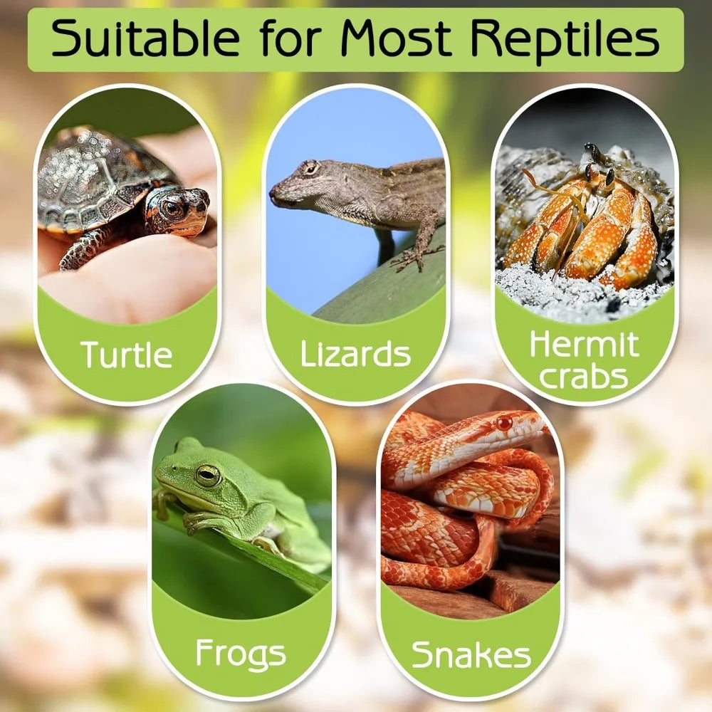 Turtle Bathing Pool & Feeding Dish — Easy-Clean Water Bowl for Box Turtles & Frogs
