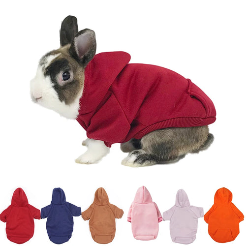 Warm Rabbit Sweater — Cozy Two-Leg Pet Clothing