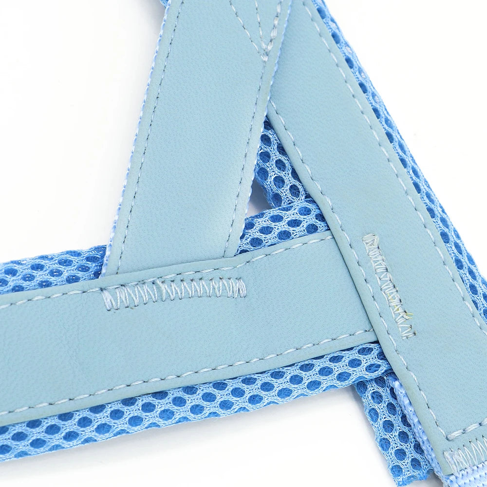 Personalized Engraved Dog Harness