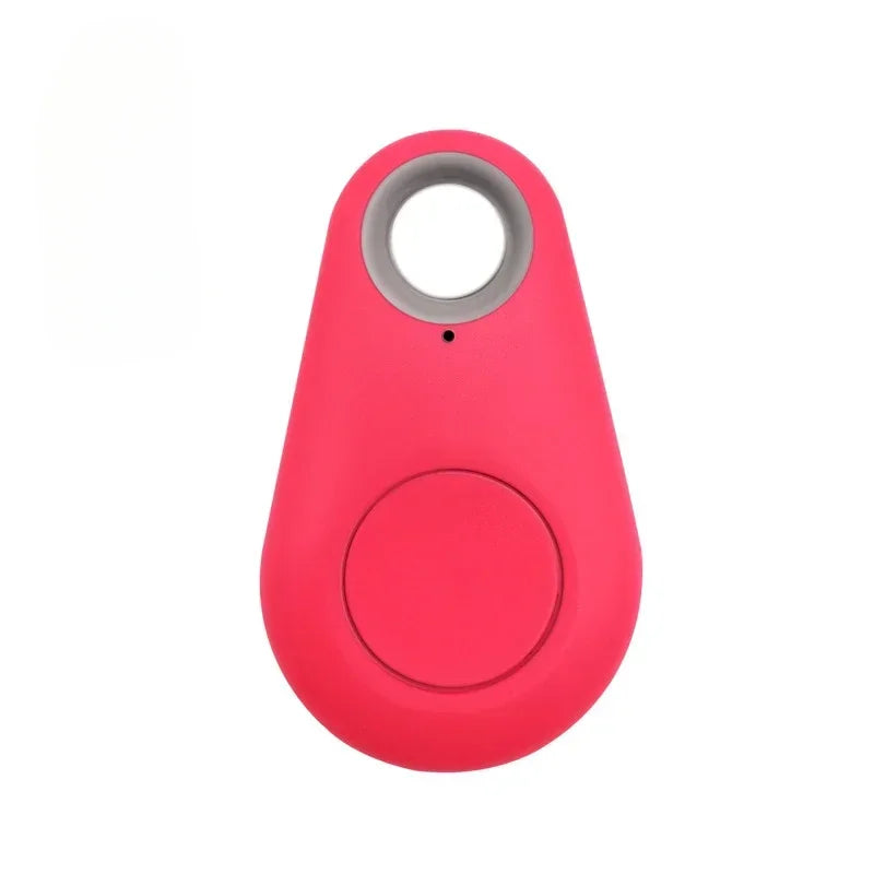 Bluetooth Smart Tag Keychain Tracker - Anti-Loss Finder for Pets & Keys