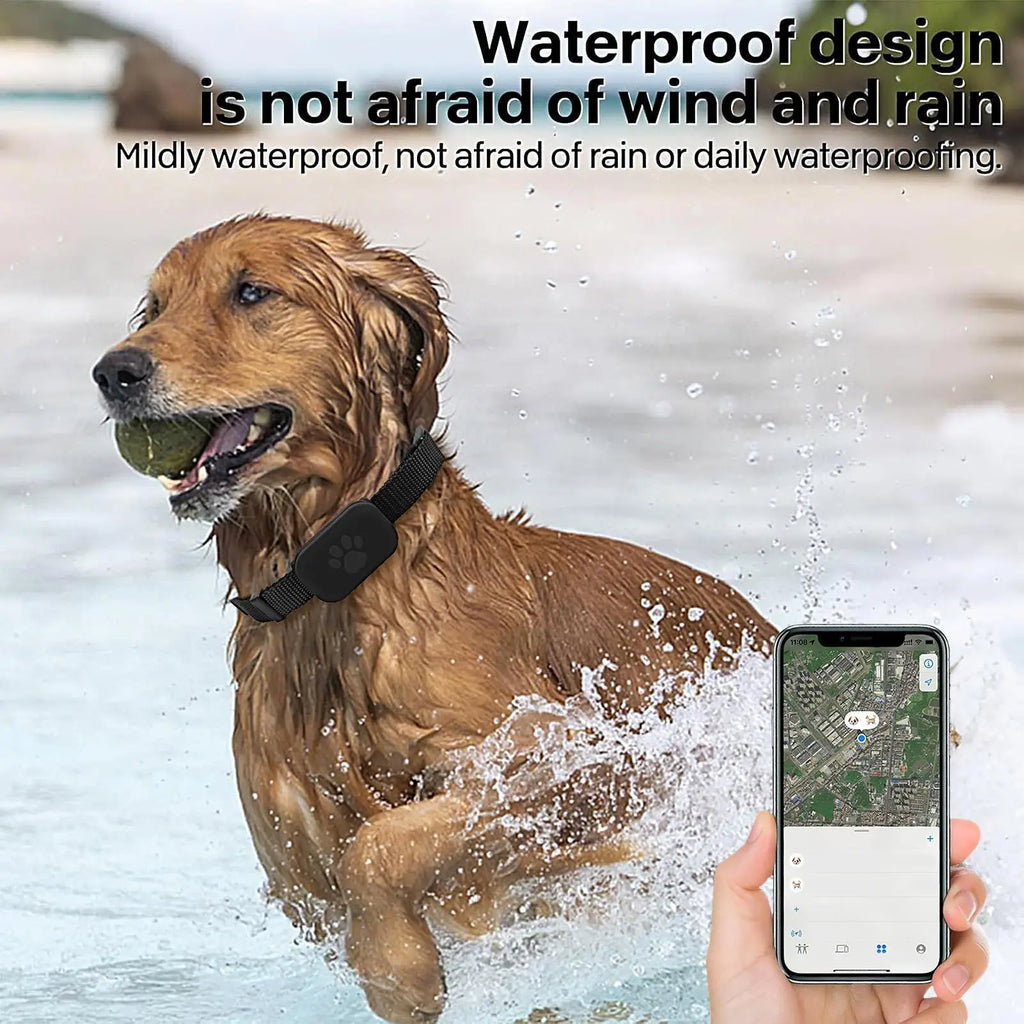 No-Subscription GPS Pet Tracker with Collar - Long Battery for Dogs & Cats