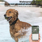 No-Subscription GPS Pet Tracker with Collar - Long Battery for Dogs & Cats