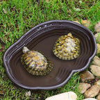 Reptile Bathing Pool & Water Dish Set — Ramp Design for Turtles & Tortoises