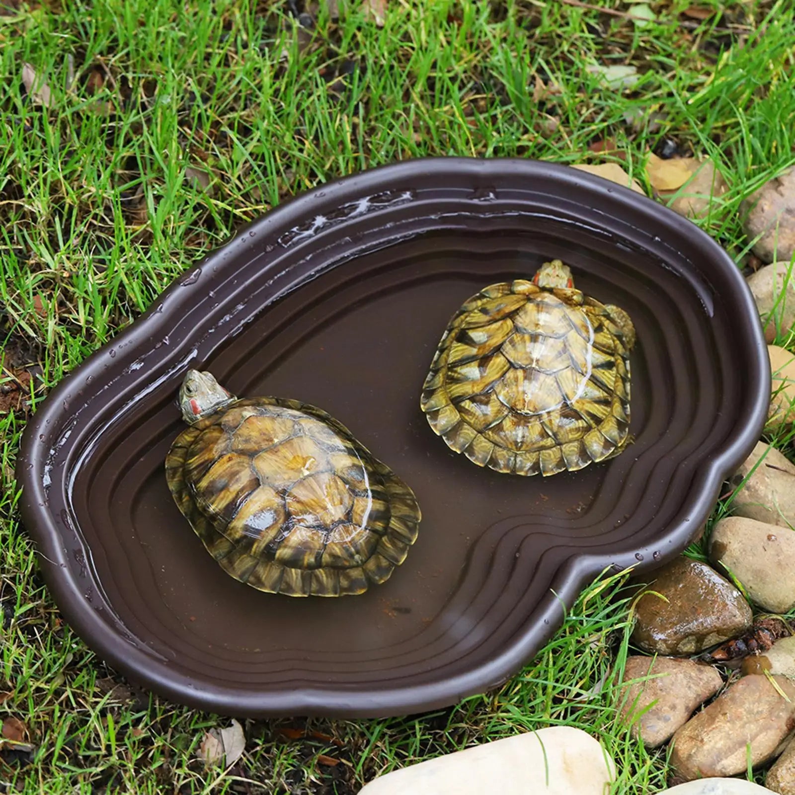 Reptile Bathing Pool & Water Dish Set — Ramp Design for Turtles & Tortoises