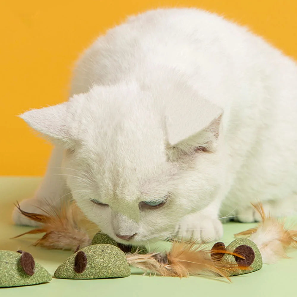 Mint Catnip Feather Ball Cat Toy — Self-Cleaning Teeth Grinding & Dental Play Toy