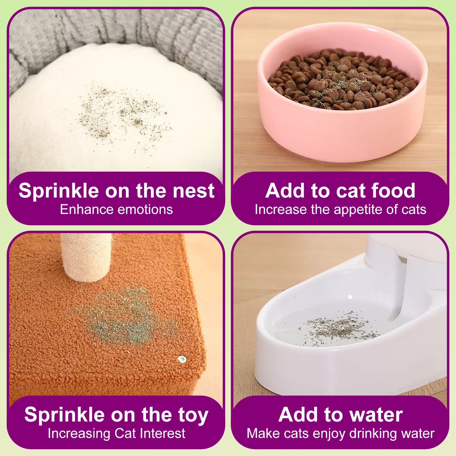 Silvervine Powder for Cats