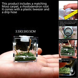 Mini Transparent Spider Breeding Box — with Moss & Driftwood