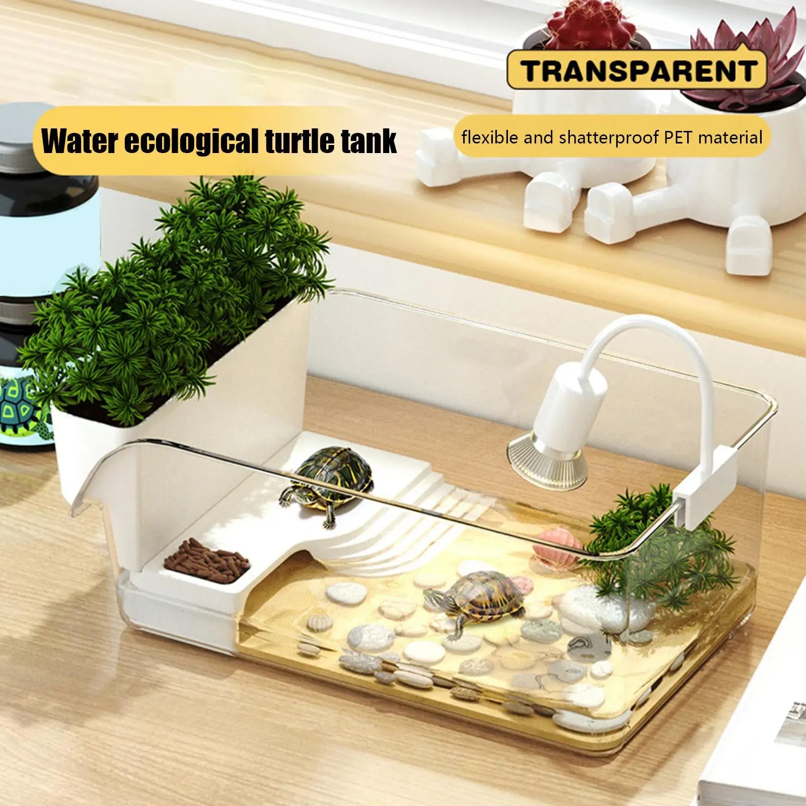 Compact Transparent Turtle Tank — Basking Habitat with Climbing Spot