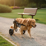 Disabled Pet Wheelchair Long Lasting Rear Leg Dog Wheelchair Recovery Dog Chair Aluminum Alloy Frame Breathable Mesh for Pet