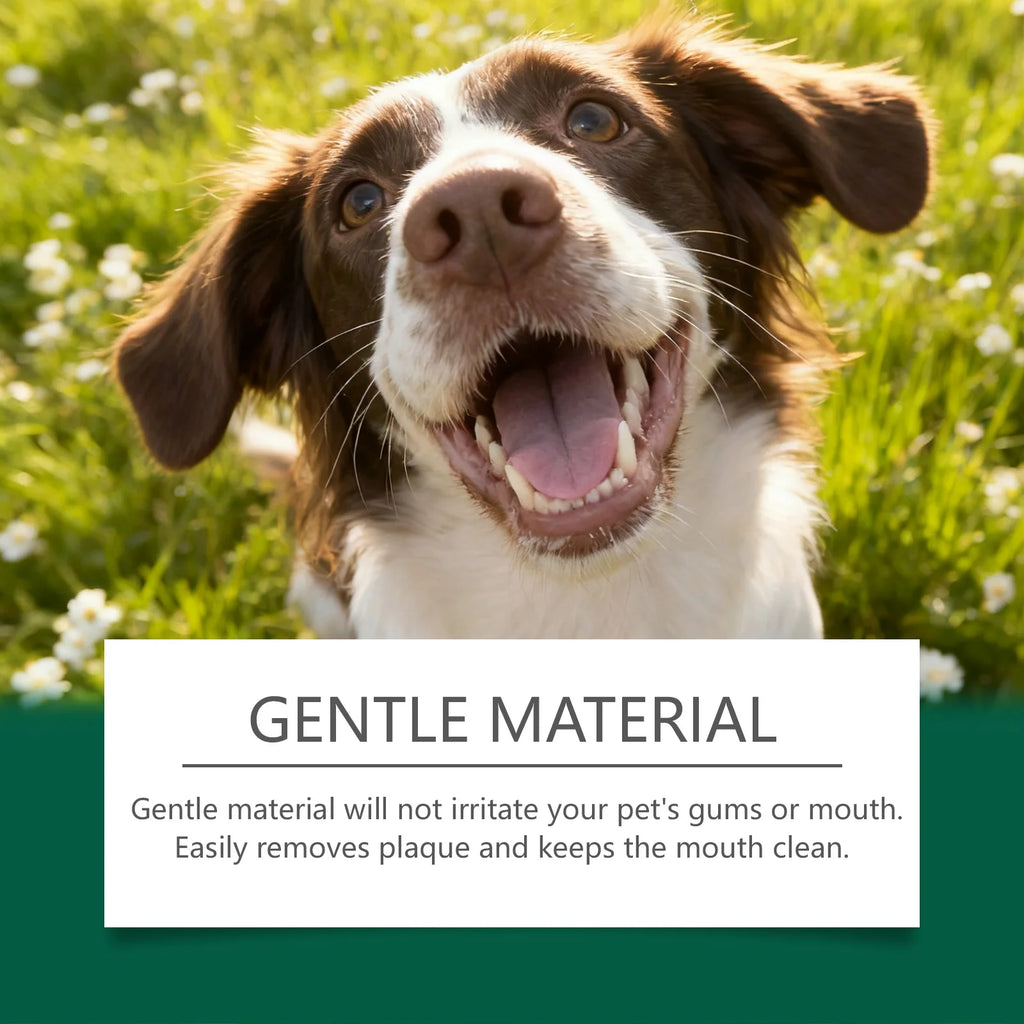 Pet Teeth Cleaning Wipes — Removes Food Residue & Freshens Breath
