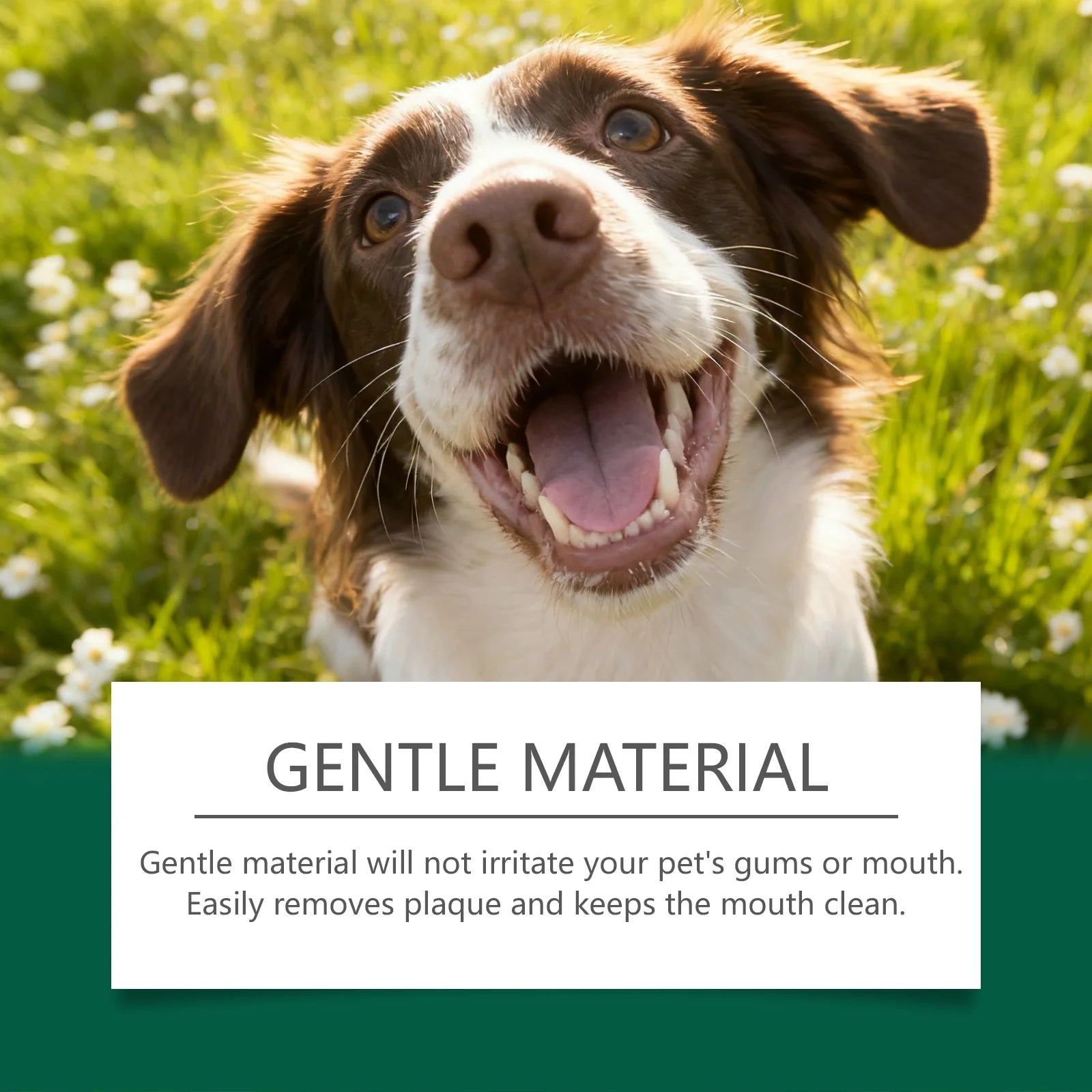 Pet Teeth Cleaning Wipes — Removes Food Residue & Freshens Breath