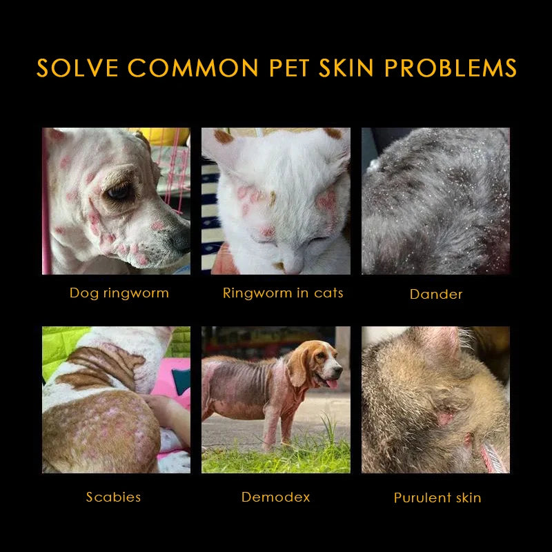 Pet Anti-Itch Skin Ointment — Fast Relief for Irritation & Fungal Issues