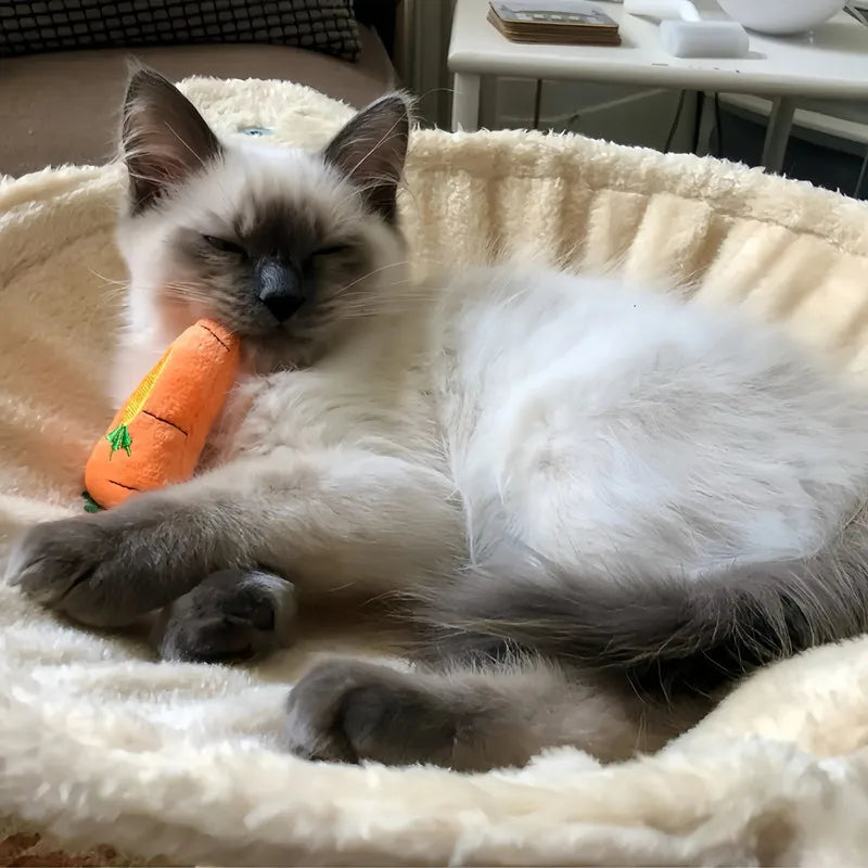 Catnip-Filled Plush Cat Toys