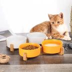 Elevated Ceramic Pet Bowl with Wood Stand