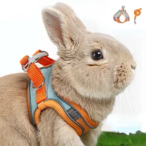 Adjustable Rabbit Harness & Leash Set — Reflective Vest with Breakaway Buckle