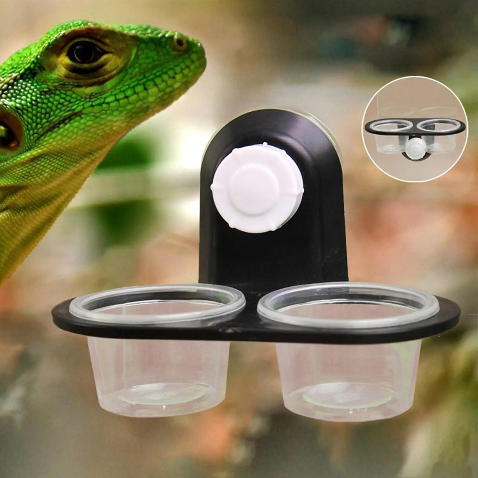 4-Cup Gecko Feeding Tray — Space-Saving Food & Water Dispenser
