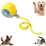 Automatic Chase Ball Toy with Tail Rope — Interactive Play for Bored Indoor Cats