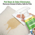 Pet Stain & Odor Remover Spray — Dissolves Stubborn Urine Stains, 120ml