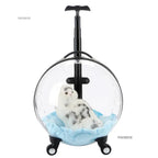 Transparent Foldable Pet Stroller Trolley for Cats & Dogs — Lightweight Compact Portable Outdoor Carrier