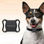 Smart Waterproof Mini GPS & Bluetooth Pet Locator Collar for Cats & Dogs