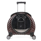 Transparent Space Capsule Pet Backpack Carrier — Large Capacity Multi-Purpose Outdoor Bag for Cats & Dogs