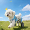 Adjustable Wheeled Pet Mobility Bracket for Disabled & Rehabilitating Dogs & Cats — Walking Aid Cart