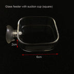 Glass Aquarium Shrimp Feeder Bowl & Tube (Transparent, Food Dish)
